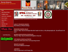 Tablet Screenshot of phoenixrisingk5.com